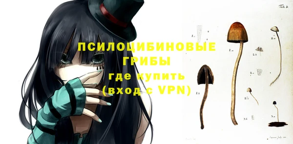 гашик Бородино