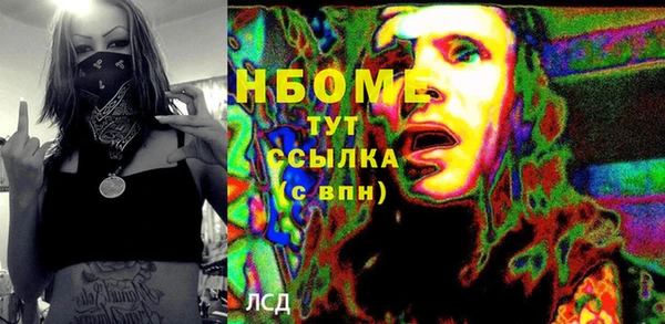 гашик Бородино