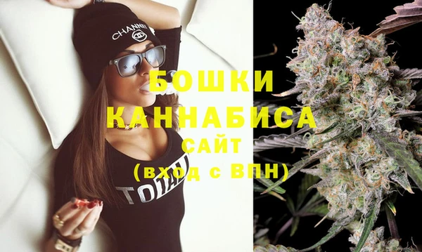 гашик Бородино