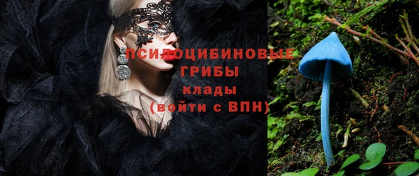 гашик Бородино