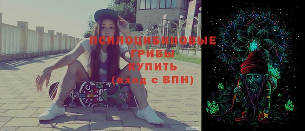 ECSTASY Бронницы