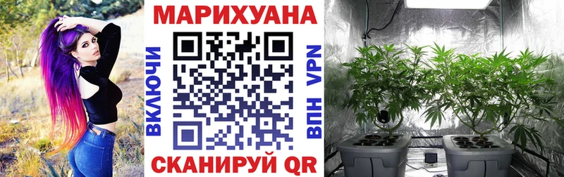 Бошки марихуана семена  Северодвинск 